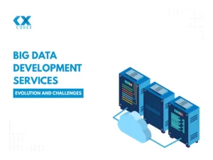 Big data development services in lebanon | codeX | custom software development services in lebanon